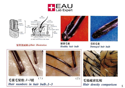 EAU Anti-Irritation and Calming Shampoo 200ml test-hair-corner.myshopify.com COM'COM'STORE